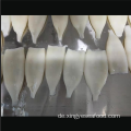 Gefrorene Tintenfischprodukte Illex Argentinus Squid Tubes